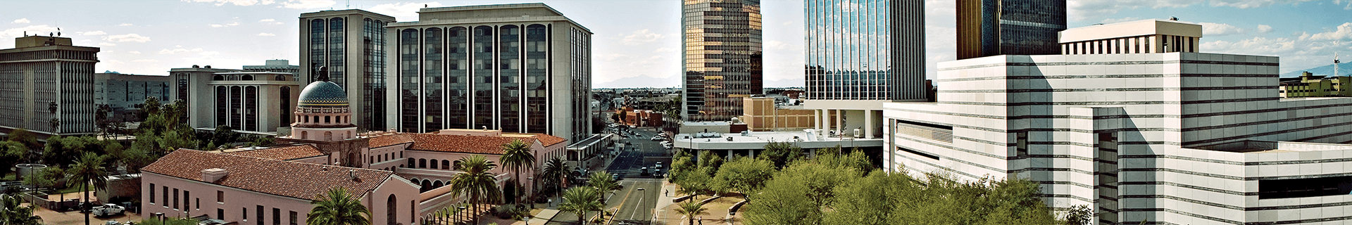 daytime phoenix skyline